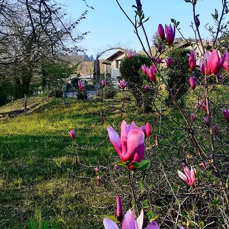 Bed & Breakfast Al Picchio A.p.s.