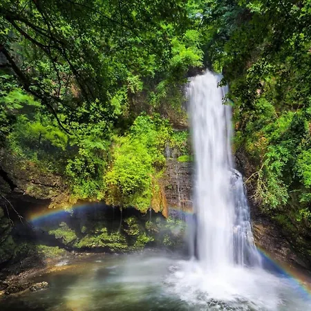 Bed & Breakfast Al Picchio A.p.s.